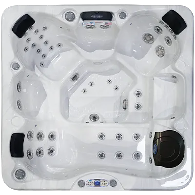 Avalon EC-849L hot tubs for sale in Thornton