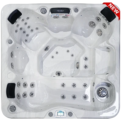 Avalon-X EC-849LX hot tubs for sale in Thornton